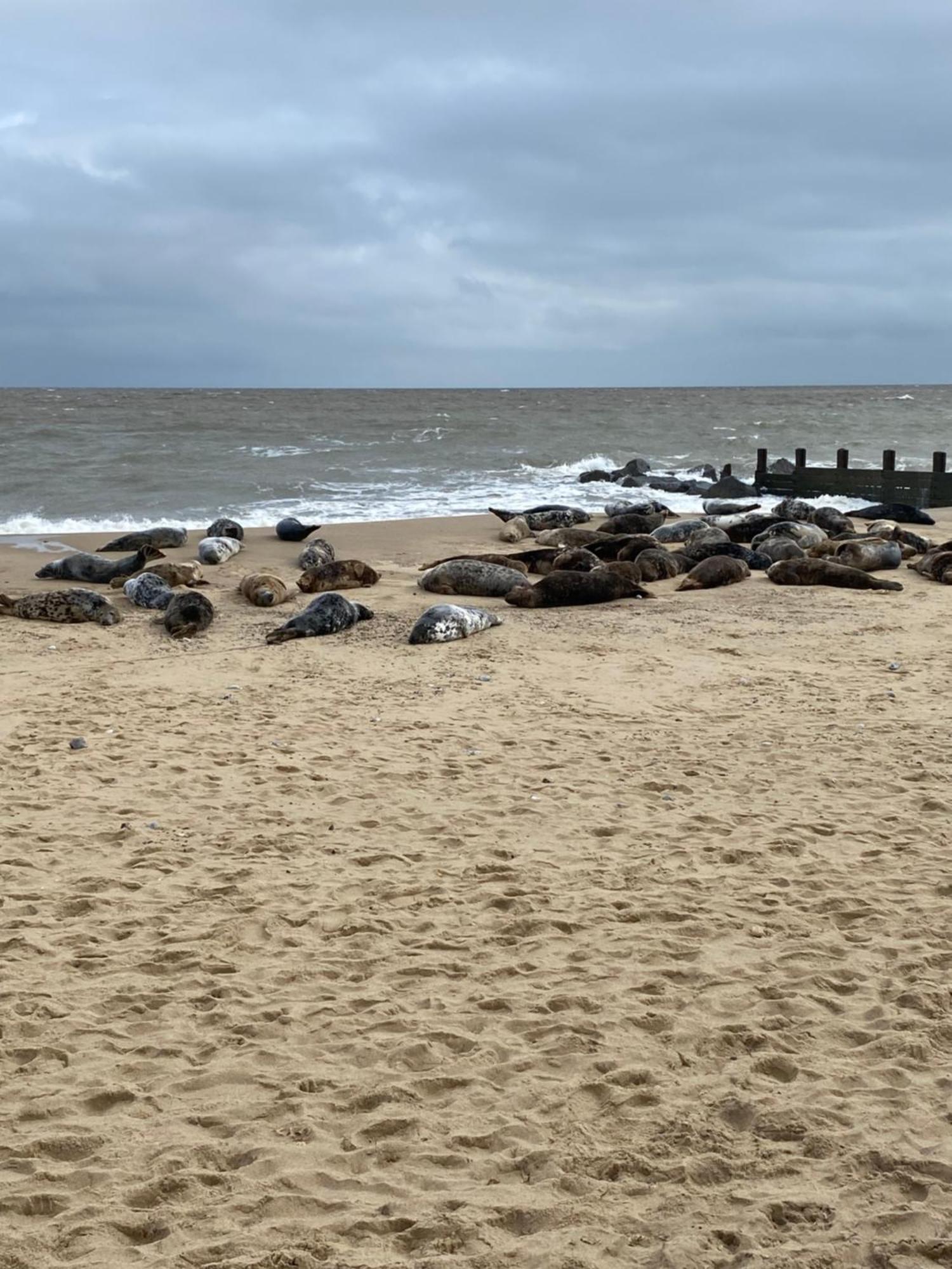 Chalet 95 Sundowner, Hemsby, Norfolk